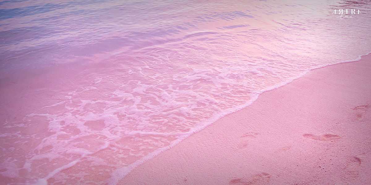 ทะเลสาบสีชมพู The Pink Sands Beach