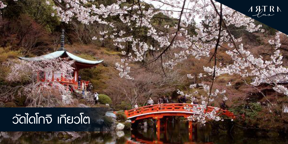Enjoy Sakura at Daigoji temple