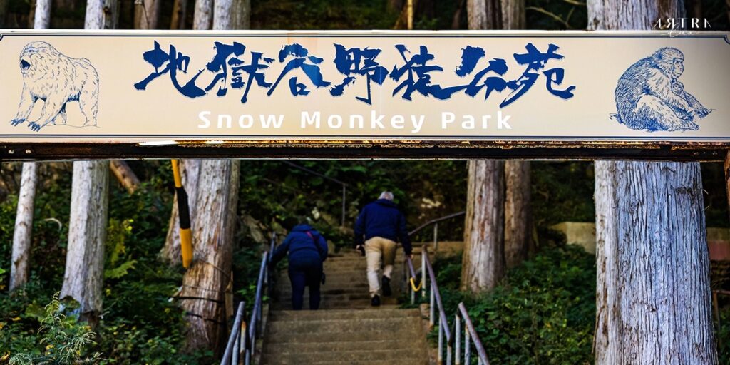  วิธีการเดินทางไปสวนลิงจิโกะคุดานิ